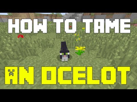 How to Tame an Ocelot (Cat) in Minecraft TU 12 - YouTube