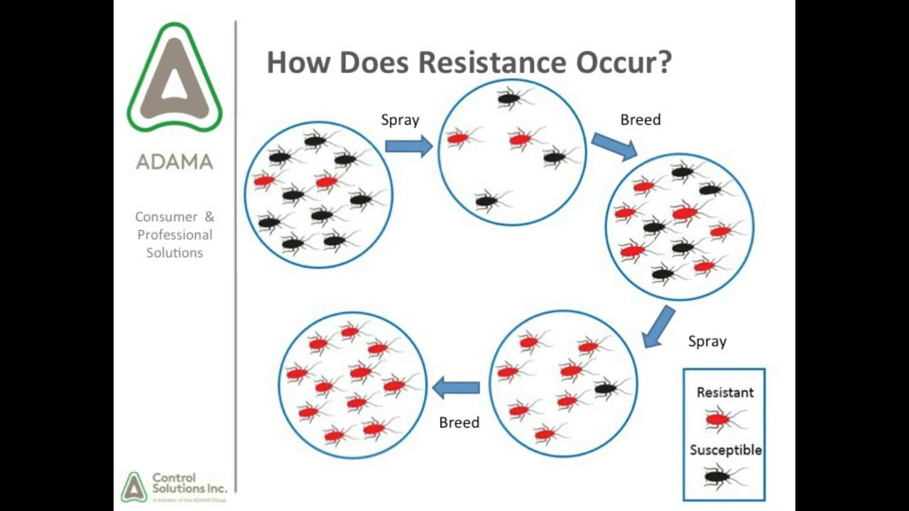 Pesticide Management and Insecticide Resistance
