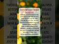 🎁 Нажми, чтобы получить добрую весть👈