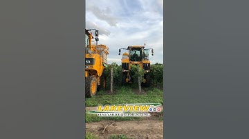 Gregoire G8.270 and GL8.6 with EASYClean Mechanically Harvesting Wine Grapes