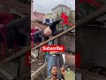 #funnyshorts 😂😂