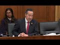 Ranking Member Raskin's Opening Statement at Hearing on Trump's Affordability Crisis