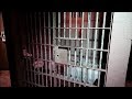 #1036 MLK Jail Cell, Freedom March, 16th St BAPTIST CHURCH - Birmingham Civil Rights - Vlog (6/8/19)