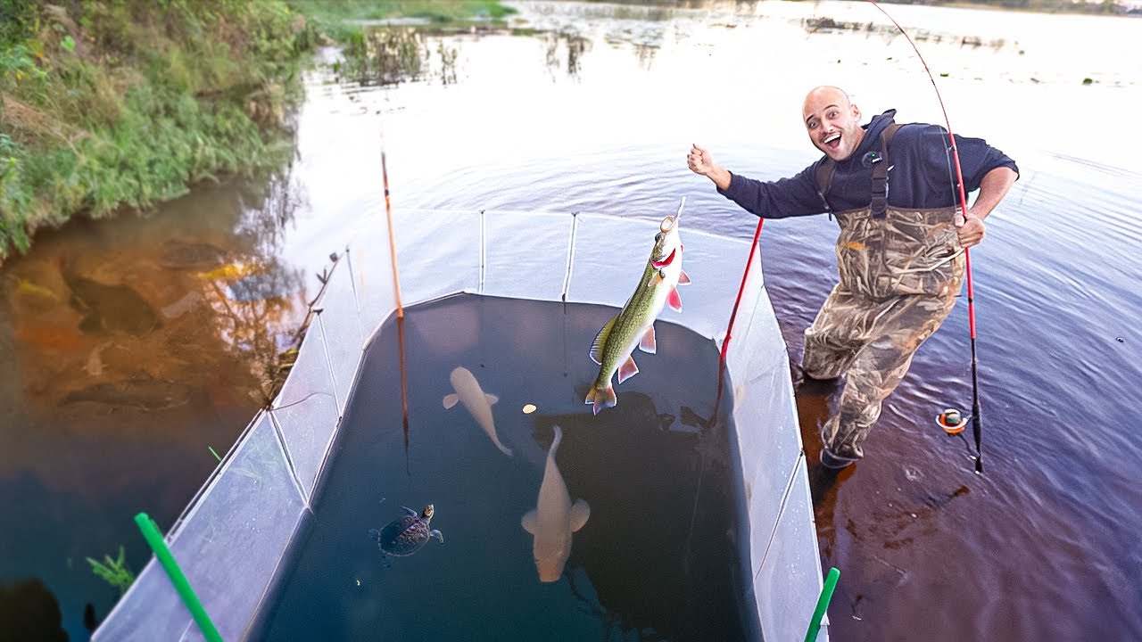 CRIANDO UM CERCADINHO DE PEIXES E TARTARUGA NO LAGO