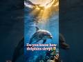 👉 “Do dolphins sleep with one eye open? 😱 science fact part 12#viral#amazingfacts#science#ytshots