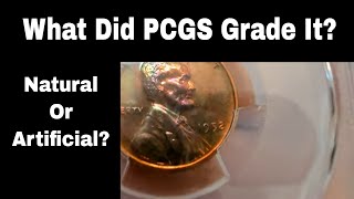 PCGS UNBOXING  What Did PCGS Say About My Toned Cent?