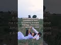 As sem-razões do amor, de Carlos Drummond de Andrade ✨ #filme #poesia #br #carlosdrummonddeandrade