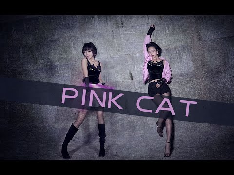 【礼礼】PINK CAT ♥誰家的野貓請進來認領♥附彩蛋貓步輕俏。可愛＆sexy你站哪隻貓？ヾ=ﾟ･ﾟ=ﾉ喵♪