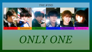  the Wind  Only One color Coded Thaisub