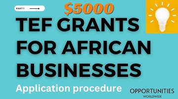 TEF 2024 Step By Step Application Procedure . $5000 Business Grants by Tony Elumelu Foundation
