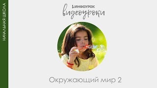 Воздух. Свойства воздуха | Окружающий мир 2 класс #37 | Инфоурок