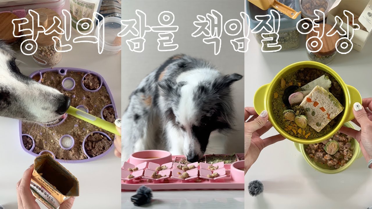 쿨타임 다 차서 올려보는 잠 책임 영상