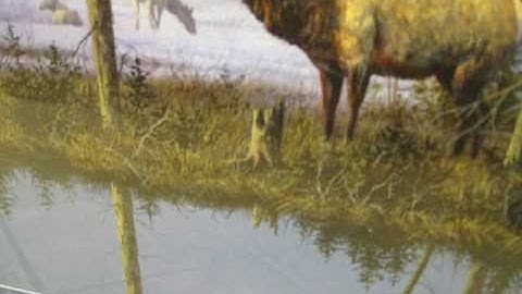 Vampire Elk