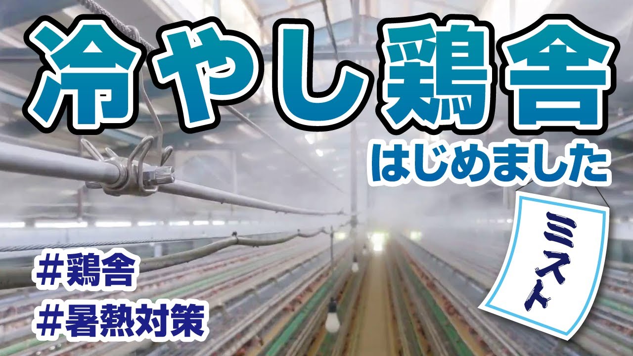 畜舎の暑熱対策と防除を1台で｜セミドライフォグのCoolPescon | フォグ