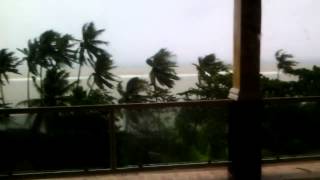 Typhoon ruby