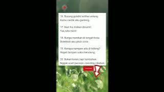 pantun gimbal #shorts