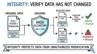 Data Integrity and Hashing Algorithms | CompTIA Security+ SY0-701