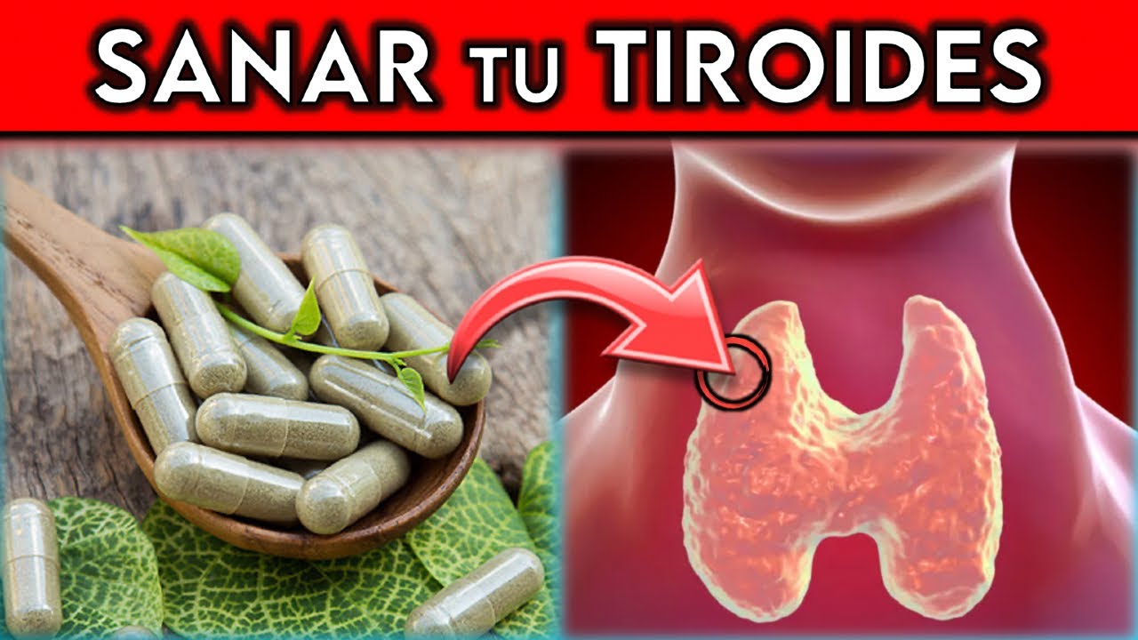 La VITAMINA OBLIGATORIA que tu TIROIDES NECESITA