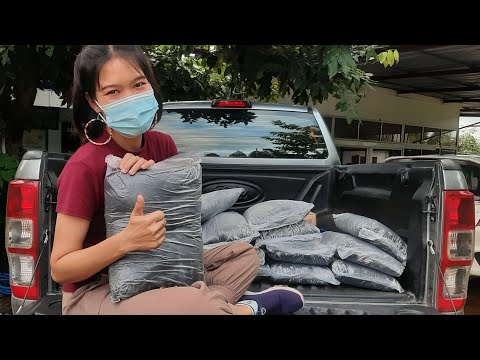 ชมเอง | แนะนำดินดำ ดินปลูกต้นไม้ราคาถูก