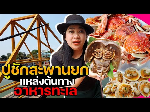 แพรวบ้าห้าร้อย EP.130 #ปูชักสะพานยก แหล่งต้นทางรวมอาหารทะเล🦀ราคาถูกที่สดกันวันต่อวัน😲