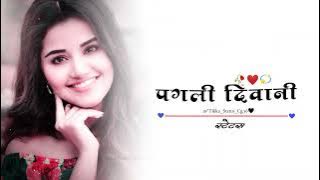 ❤️ पगली दिवानी गोरी मोर। Pagli Diwani Gori Mor.Cg 💞Status Video song. Mr. Video Editing.
