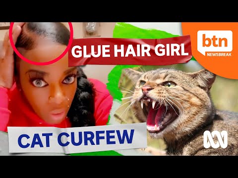Girl Glues Hair On Tiktok And An Australian Cat Curfew