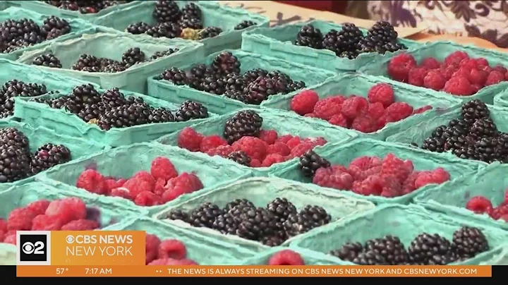 On Call with Dr. Kumar: What foods boost your energy?