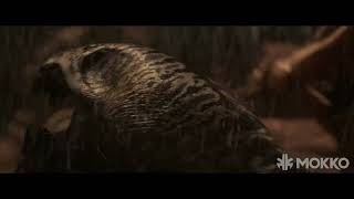 Famous ''Riddick 3'' - Creature Texture and LookDev - 2012 Net Worth