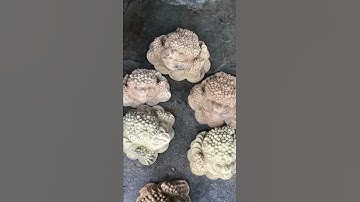 # e sắc xin giới thiệu những mẫu cụ cóc xá xị hang còn mộc siêu đẹp ak