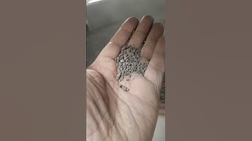 Circular vibratory sieve separator