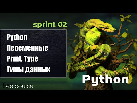 Python переменные, вывод, типы данных. Python 2023 - free course