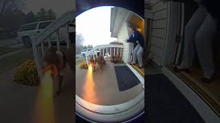 Joseph Go Home Right Now