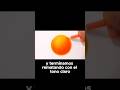 Elimina puntos blancos de tu coloreado PARTE 4