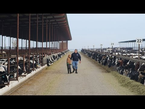 Converting Cattle Waste Into Renewable Energy | Earth Focus | Season 2 | Episode 4
