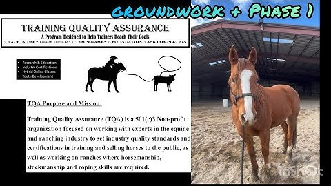 TQA Groundwork & Phase 1 Winter 2023 Colt Starting