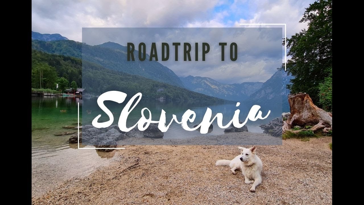 Solo Travel Around Slovenia // Dog on the Road