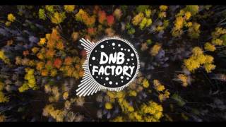Dirtyphonics - Anonymous