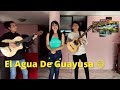 AGUA DE GUAYUSA - HERMANOS CHAMBA
