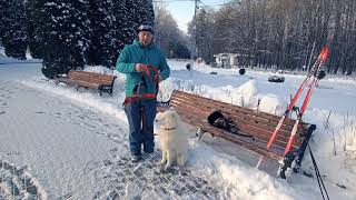Утилитарная ездовая собака, тестируем. Утилитарная ездовая собака, тестируем.