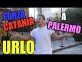 Urlo forza catania a palermo  penitenza