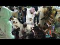 عبدالعزيز الضويحي لما قلبي عبدالعزيز الضويحي لما قلبي