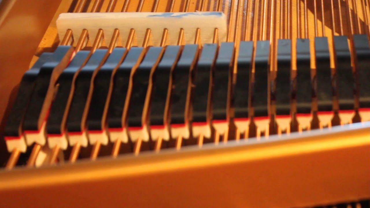 Piano "singleton" mutes YouTube
