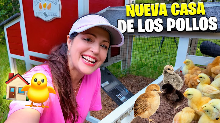 REACCION de los POLLITOS y su NUEVA CASITA 🔥 Sandra Cires Vlog