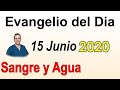 Evangelio Del Dia de Hoy - Lunes 15 Junio 2020- Sangre y Agua