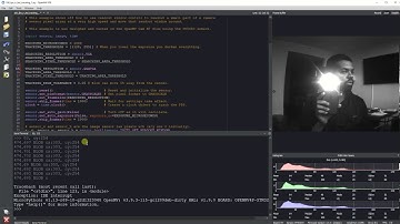 MT9V034 Readout Control