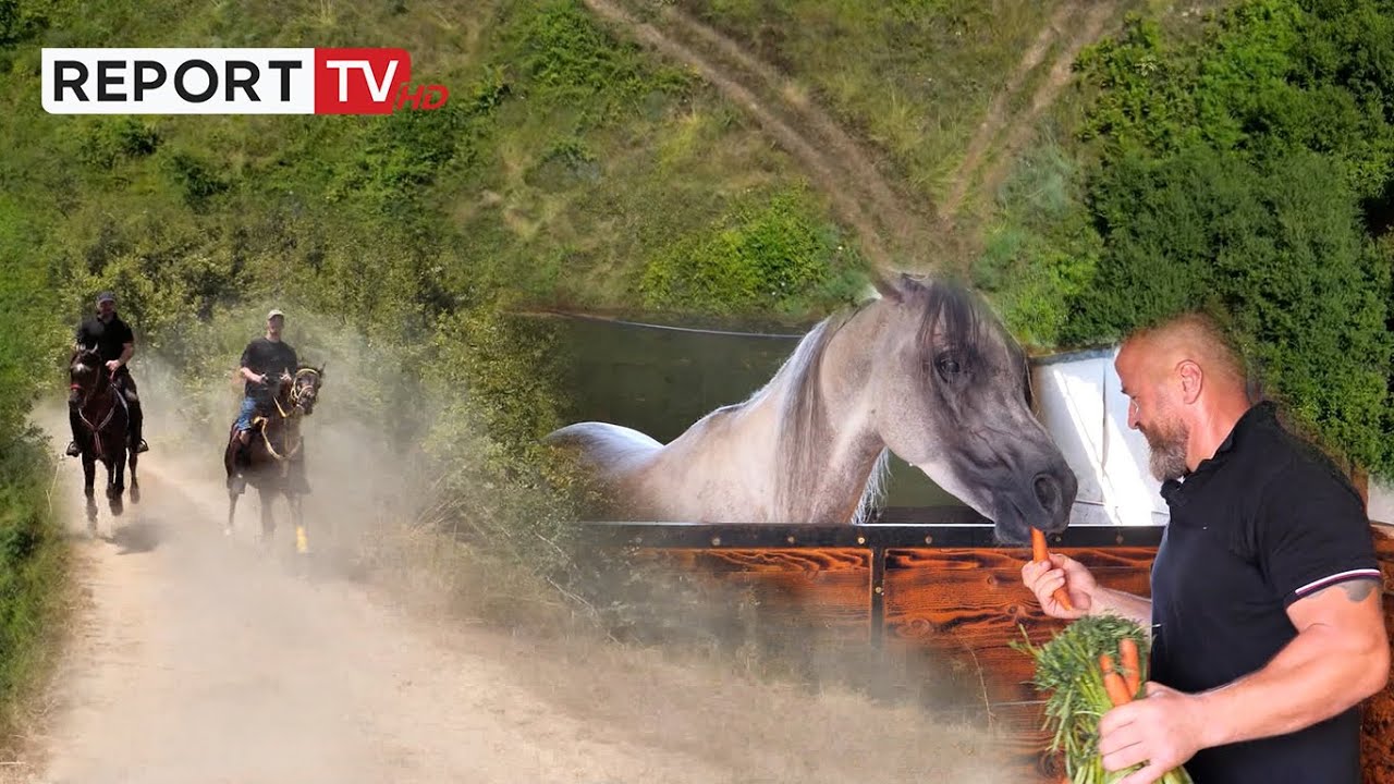 Takimi me Neymar dhe aventura me kuaj në Marqinet, flet Shkëlzen Brahaj: Nuk ka si hamshorët arabë
