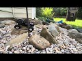 TRX4M INJORA TARANTULA- FIRST RUN STOCK ELECTRONICS - ROCK COURSE IS A WORK IN PROGRESS