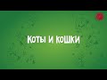 В. Казенин. Музыка к балету &quot;Коты в сапогах&quot;