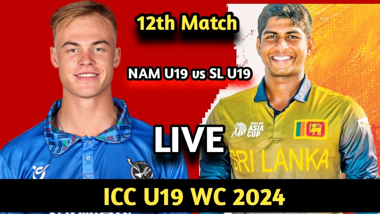 AFG U19 vs NZ U19 11th Match, U19 WC 2024 live score cricket live 
