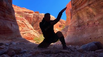 Snake Kung fu for beginners / coming soon /初级蛇拳